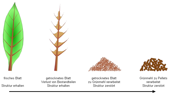 struktur.png struktur.png