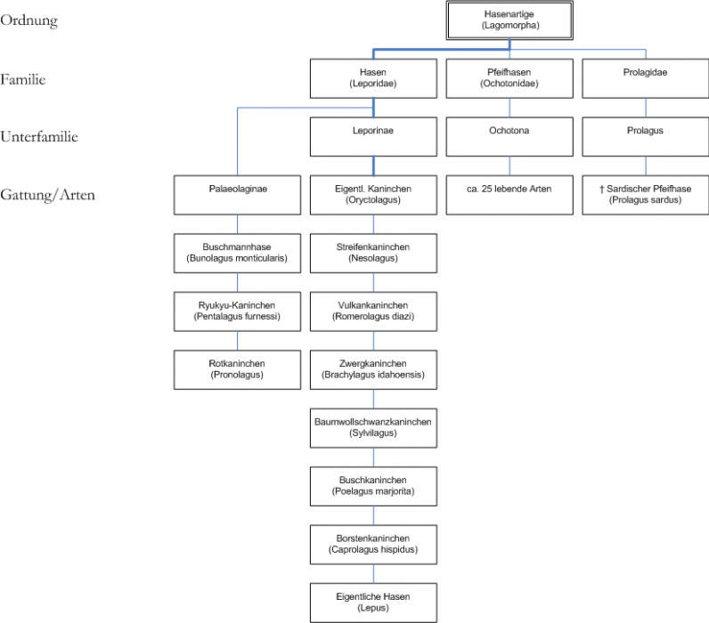 systematik_lagomorpha.png systematik_lagomorpha.png
