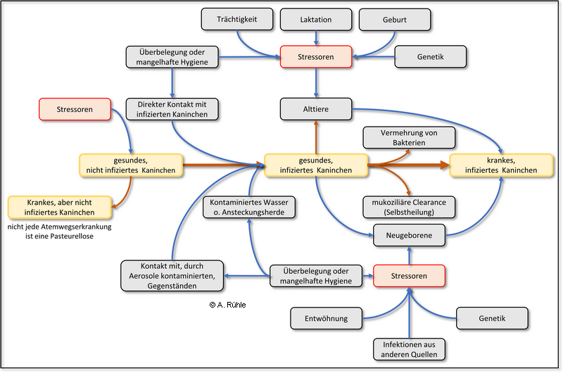rabbit_snuffle_factors.png rabbit_snuffle_factors.png