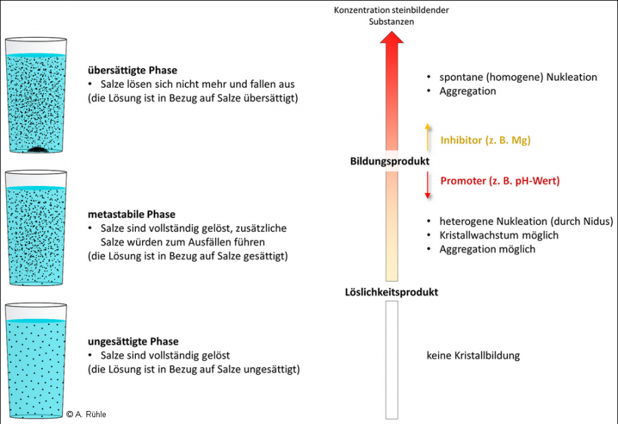 mineralien_konzentration.png mineralien_konzentration.png